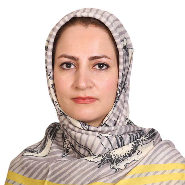 Marzieh Amiri Shahbazi, graduate of the Systems Analytics Lab